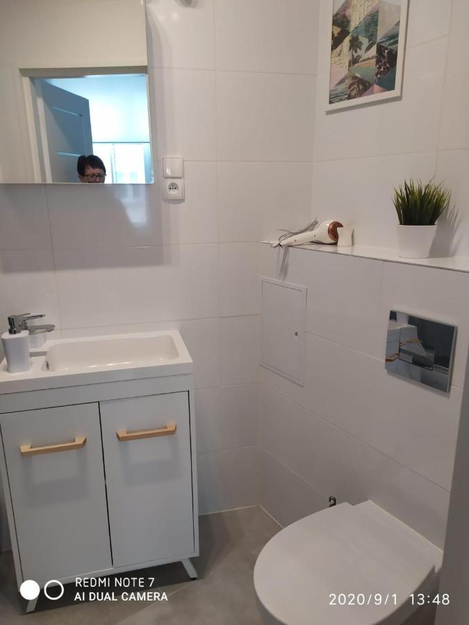 Herman View Apartment Grudziądz 外观 照片