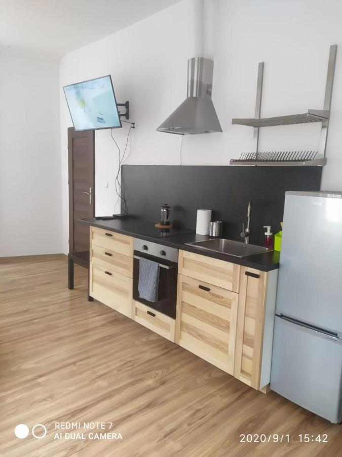 Herman View Apartment Grudziądz 外观 照片